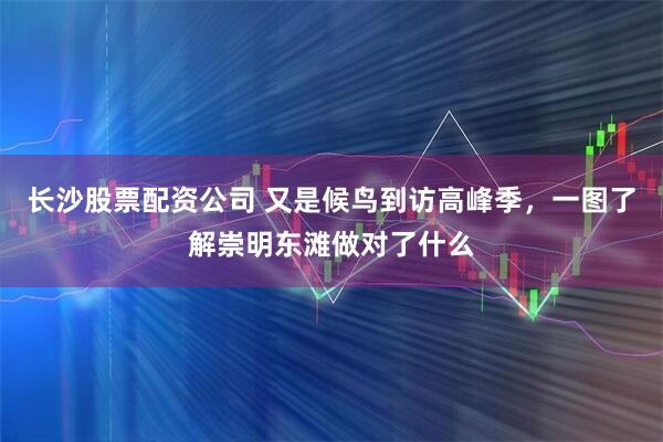 长沙股票配资公司 又是候鸟到访高峰季，一图了解崇明东滩做对了什么