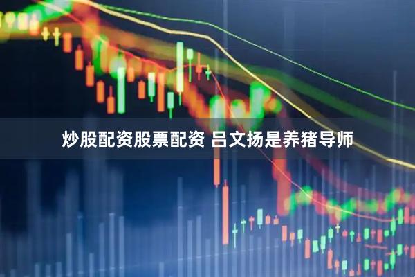 炒股配资股票配资 吕文扬是养猪导师