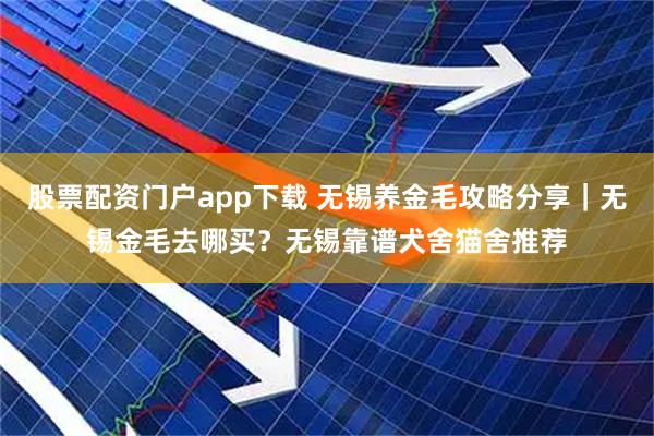股票配资门户app下载 无锡养金毛攻略分享｜无锡金毛去哪买？无锡靠谱犬舍猫舍推荐